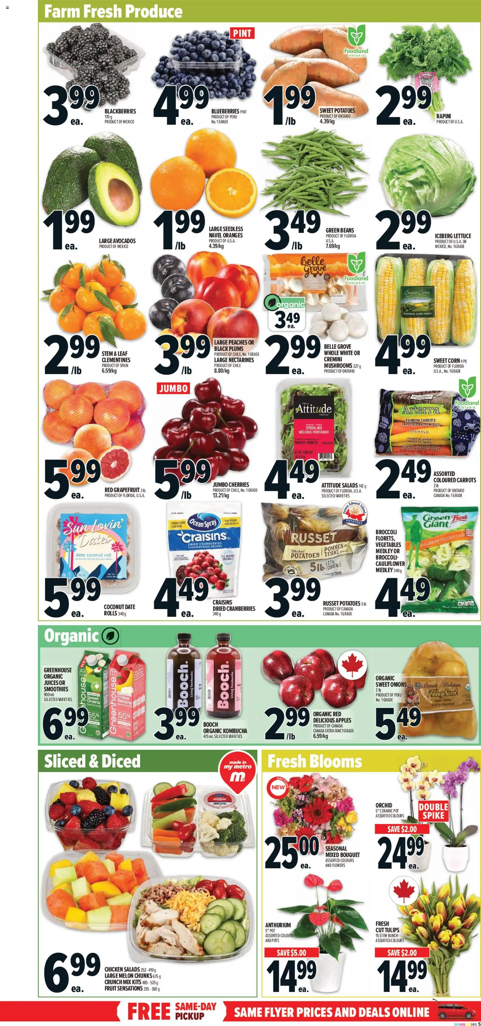 Metro flyer valid from 29.01.2026 | Page: 7 | Products: Potatoes, Chicken, Apples, Oranges