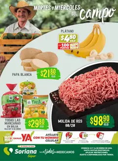 Vista previa de Soriana - Martes y Miércoles del Campo Súper: Ags, Nay, Jal, Qro, Col, Mich, Gto, Hgo, Tlax, Mor, Pue, Gro, Oax, Edo. de Mex, Valle de México, Zac, nuevo folleto de la tienda, válido en México a partir del 13.01.2026
