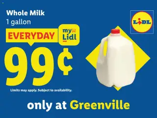 Preview of Lidl weekly ads valid from 20.08.2025