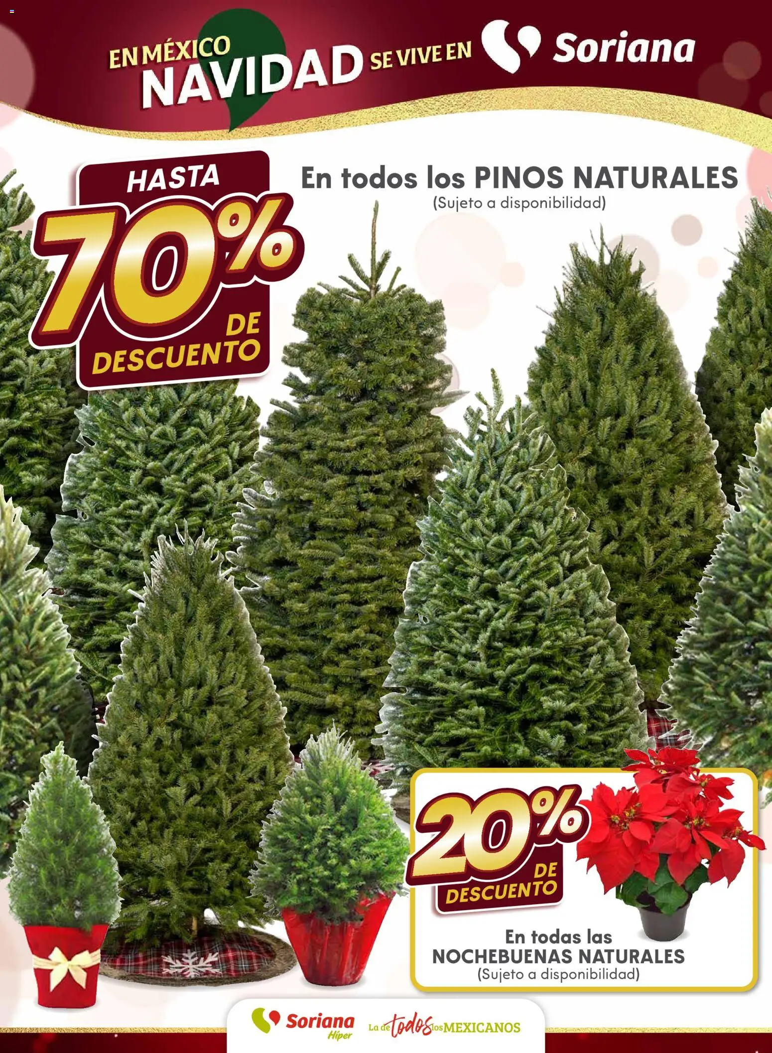 Nuevas ofertas de Soriana válidas en toda la República Mexicana desde el 10.12.2025. ¡Encuentra las mejores ofertas en Soriana - Martes y Miércoles del Campo Híper: Tamaulipas (excepto Cd. Victoria y Tampico)! | Página: 6