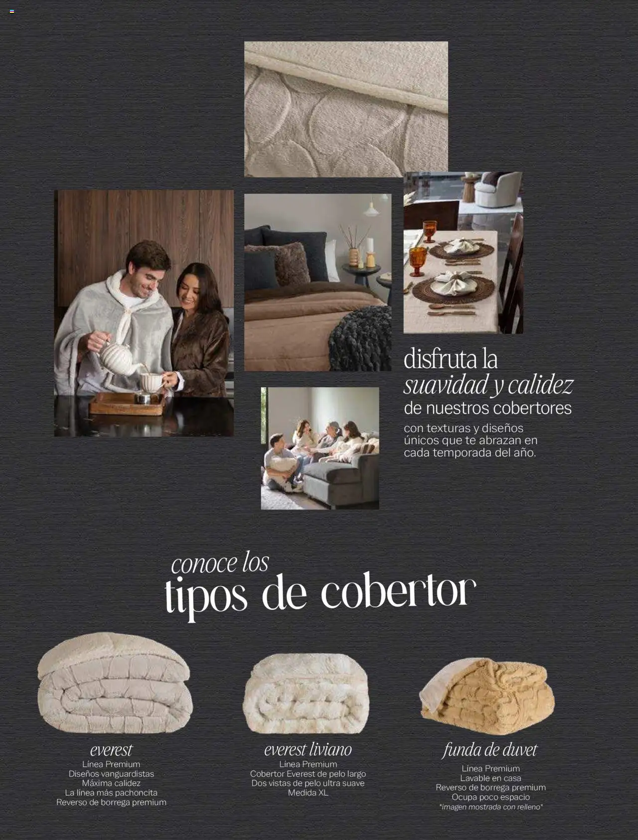 Nuevas ofertas de Vianney válidas en toda la República Mexicana desde el 15.08.2025. ¡Encuentra las mejores ofertas en Vianney - Catálogo Invierno! | Página: 2 | Productos: Cobertor, Funda, Té