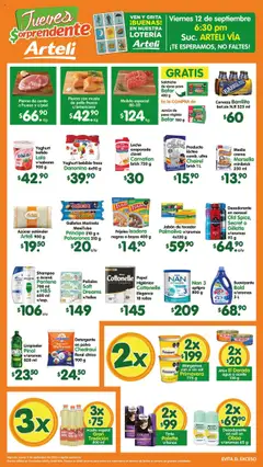 Vista previa de Arteli - Folleto Tuxpan, nuevo folleto de la tienda, válido en México a partir del 11.09.2025