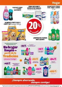 Vista previa de Farmacia Guadalajara catálogo, nuevo folleto de la tienda, válido en México a partir del 15.11.2025 | Página: 7 | Productos: Quitamanchas, Suavizante, Cocina, Servilletas