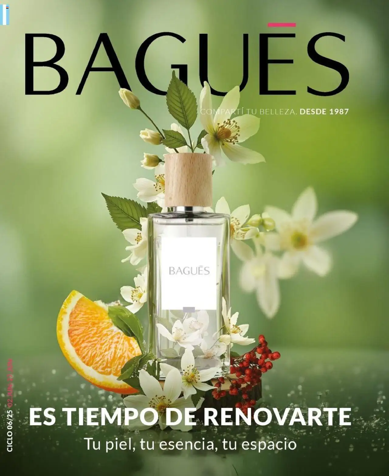 Bagués catálogo │ válido desde el 01.06.2025 | Página: 1