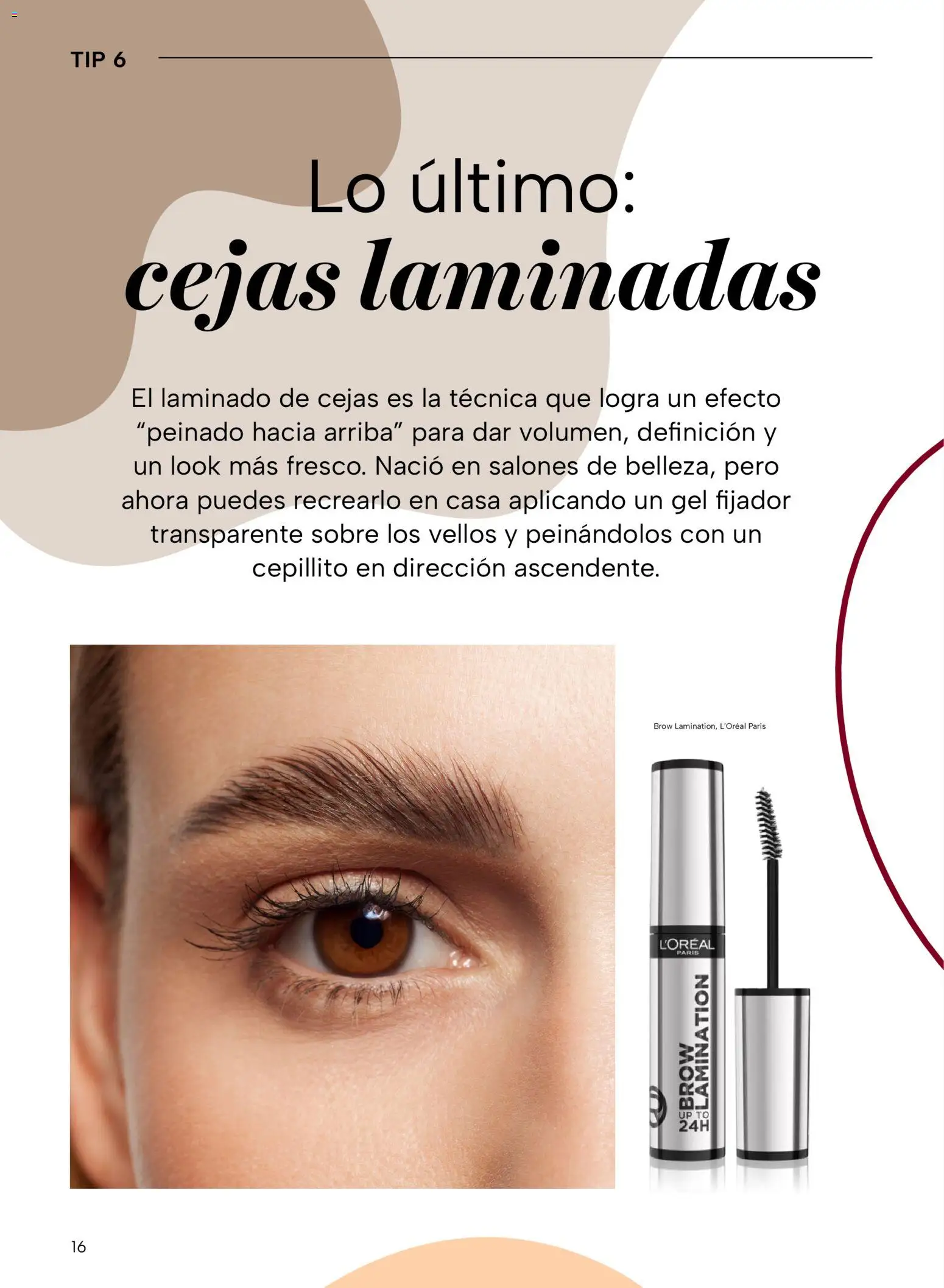 Nuevas ofertas de Chedraui válidas en toda la República Mexicana desde el 24.10.2025. ¡Encuentra las mejores ofertas en Chedraui folleto Vive Bella! | Página: 16 | Productos: Fijador, Sobre