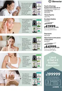 Vista previa Tupperware Folleto válido desde el 24.11.2025 | Página: 86 | Productos: Almohada, Té