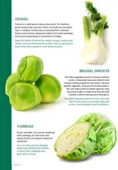 Drakes catalogue - valid from 01.08.2025 | Page: 18 | Products: Light, Cabbage, Bulb, Vitamin