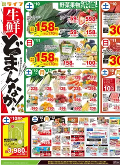 10.01.2026から有効なオファーを含む ライフ - チラシ