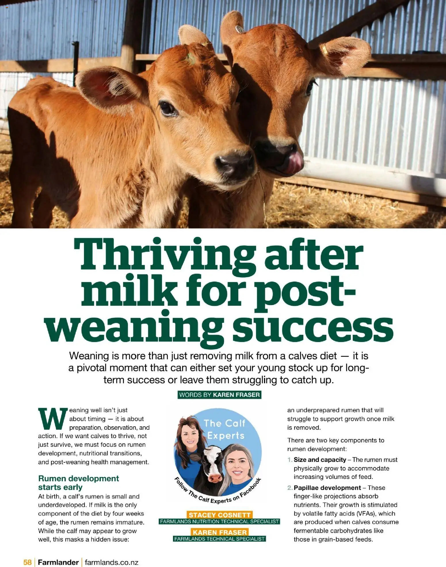 Farmlands catalogue from 01.12.2025 | Page: 60