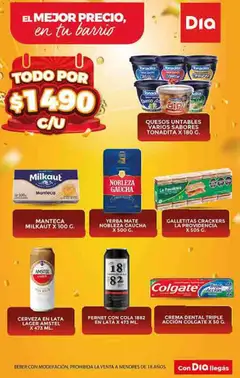 Vista previa Supermercado DIA Ofertas válido desde el 19.11.2025 | Página: 4