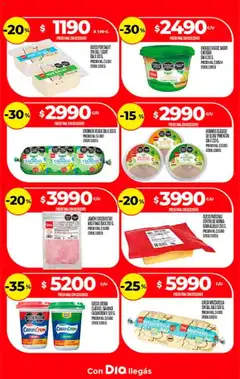 Vista previa Supermercado DIA Ofertas válido desde el 07.01.2026 | Página: 17