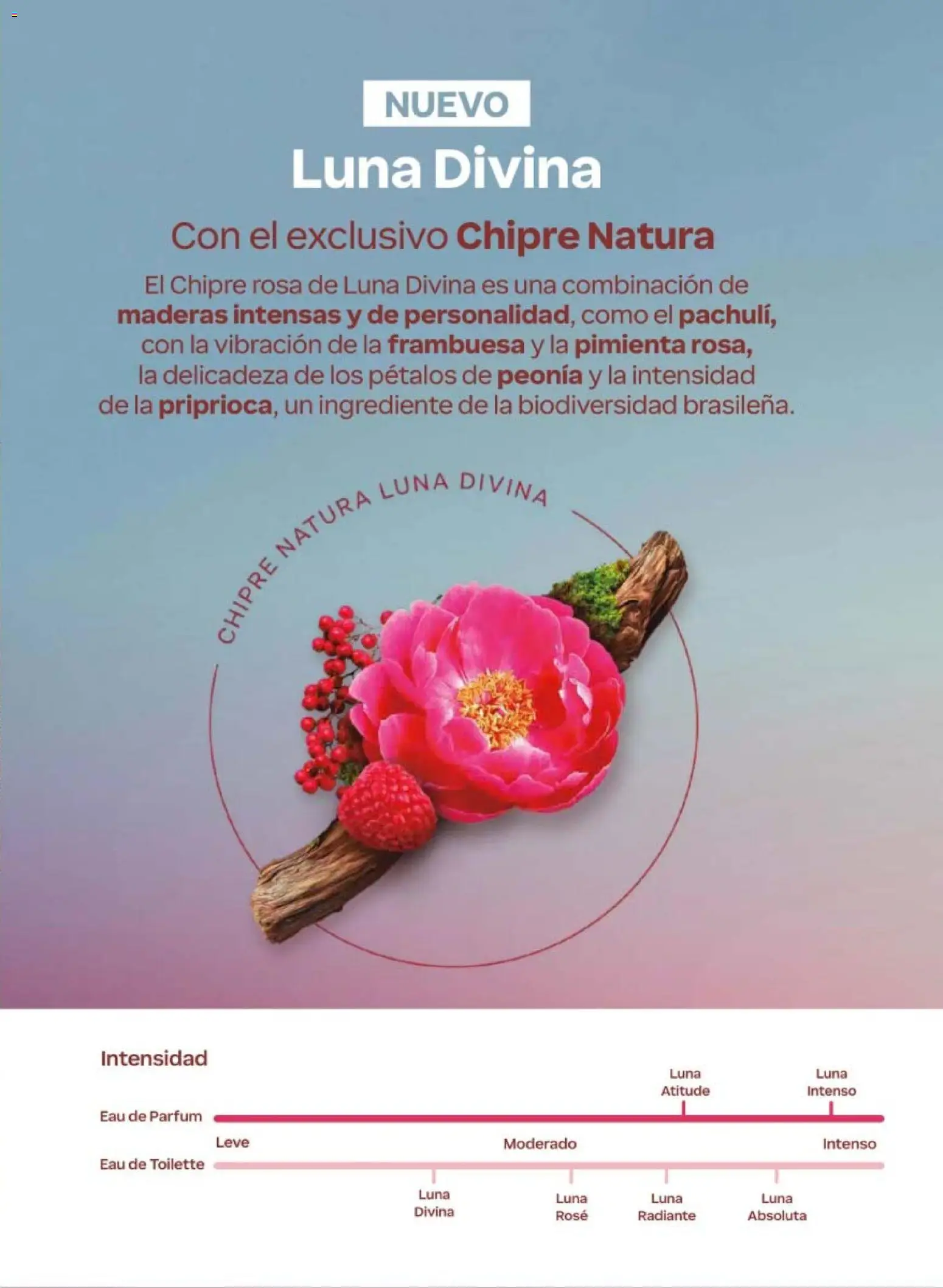 Nuevas ofertas de Natura válidas en toda la República Mexicana desde el 24.04.2026. ¡Encuentra las mejores ofertas en Natura campaña 7 2026! | Página: 27 | Productos: Pimienta, Radiante, Eau de toilette