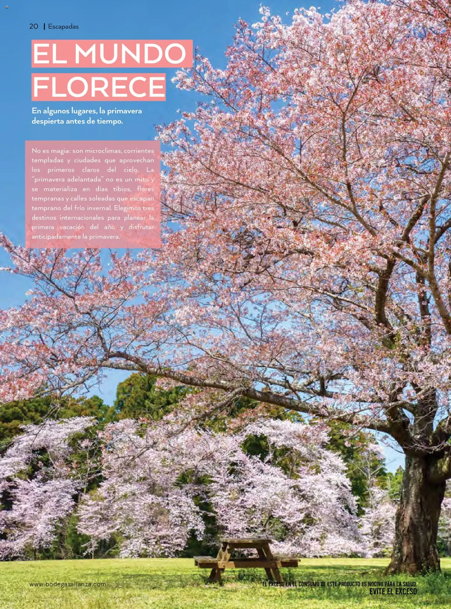 Nuevas ofertas de Bodegas Alianza válidas en toda la República Mexicana desde el 01.01.2026. ¡Encuentra las mejores ofertas en Bodegas Alianza catálogo! | Página: 22