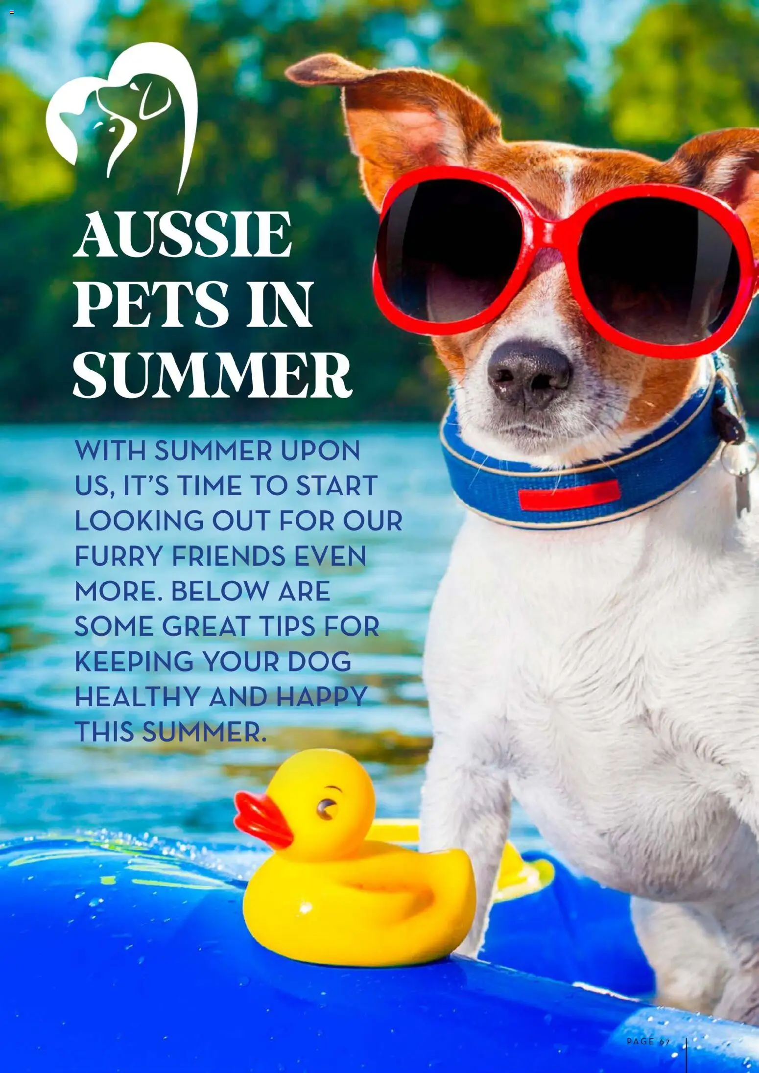 Drakes catalogue - valid from 01.12.2025 | Page: 67