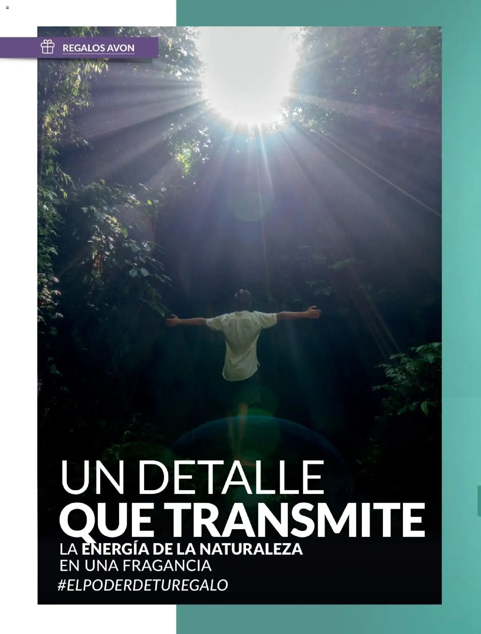 Catálogo Avon válido desde 01.01.2026 | Página: 81 | Productos: Fragancia