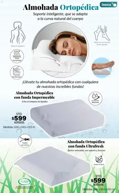 Vista previa de Colchas Concord Buen Fin, nuevo folleto de la tienda, válido en México a partir del 01.11.2025 | Página: 199 | Productos: Funda, Repelente, Almohada