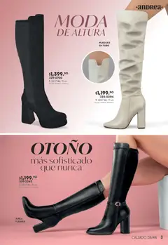 Vista previa de Andrea catálogo Botas y Botines, nuevo folleto de la tienda, válido en México a partir del 08.03.2026 | Página: 3