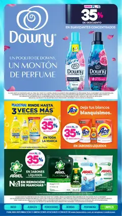 Vista previa La Anonima catálogo válido desde el 29.01.2026 | Página: 45