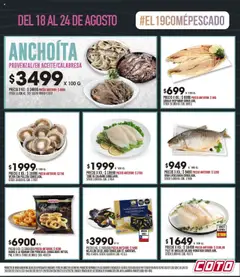 Coto ofertas │ válido desde el 18.08.2025 | Página: 3 | Productos: Pollera, Jugo, Provenzal