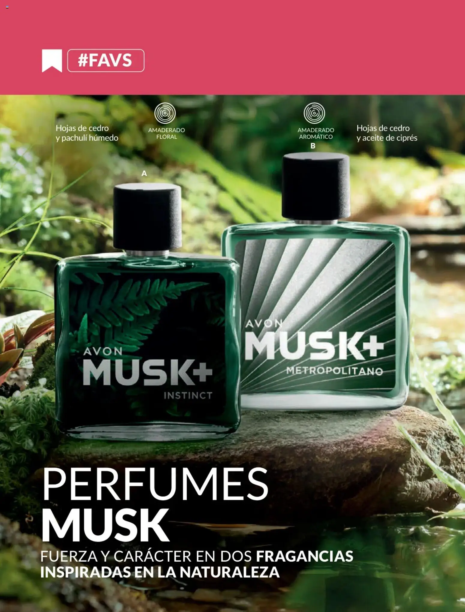 Catálogo Avon válido desde 31.01.2026 | Página: 82 | Productos: Aceite