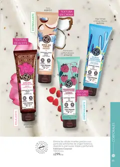 Vista previa de Yves Rocher campaña 16 2025, nuevo folleto de la tienda, válido en México a partir del 19.11.2025 | Página: 67 | Productos: Crema, Hinojo, Exfoliante corporal, Aceite