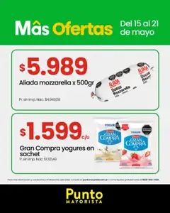 Punto Mayorista catálogo │ válido desde el 15.05.2025 | Página: 8 | Productos: Frutilla, Queso, Yogur