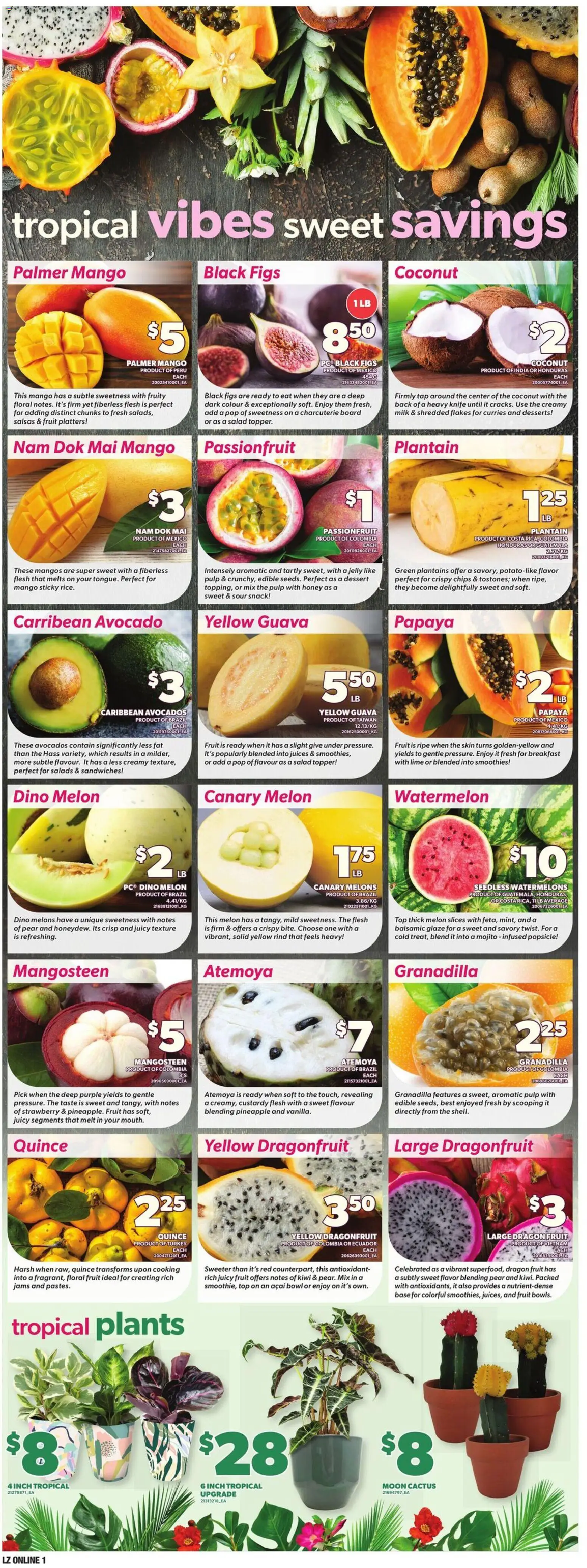 Loblaws flyer valid from 26.02.2026 | Page: 7