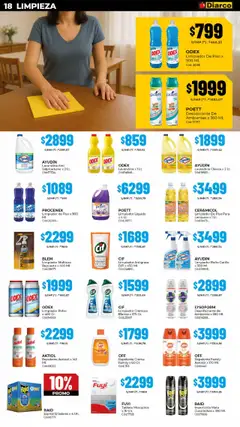 Vista previa Diarco ofertas válido desde el 20.10.2025 | Página: 18 | Productos: Desinfectante, Lavandina, Insecticida, Polvo