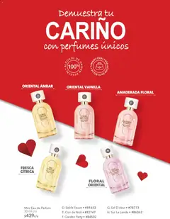 Vista previa de Yves Rocher campaña 2 2026, nuevo folleto de la tienda, válido en México a partir del 20.01.2026 | Página: 98