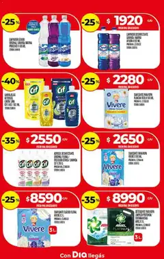 Vista previa Supermercado DIA Ofertas válido desde el 25.03.2026 | Página: 29 | Productos: Detergente, Ropa, Plancha