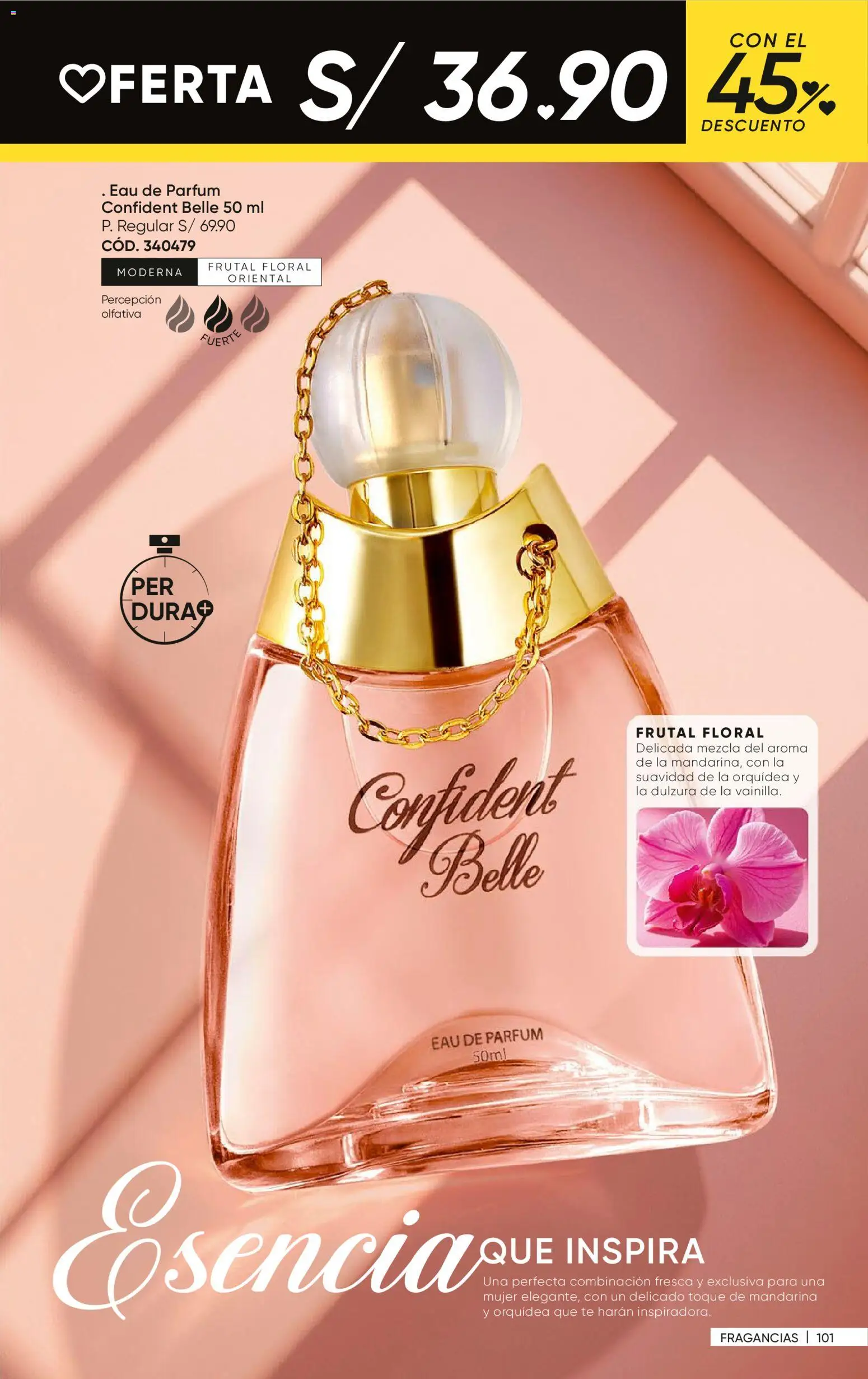 Catálogo Azzorti válido desde 07.01.2026 | Página: 102 | Productos: Té