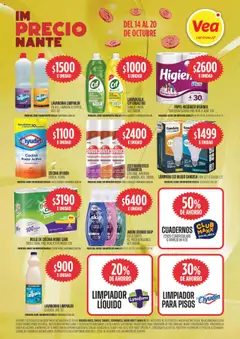 Vista previa Vea ofertas válido desde el 14.10.2025 | Página: 9