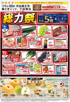06.09.2025から有効なオファーを含む ライフ - 総力祭/梨集めました