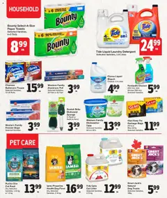Quality Foods flyer valid from 31.07.2025 | Page: 13 | Products: Freezer, Dishwasher, Sponge, Detergent