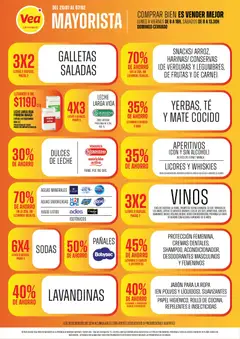 Vista previa Vea - Ofertas Mayorista Mendoza válido desde el 26.01.2026