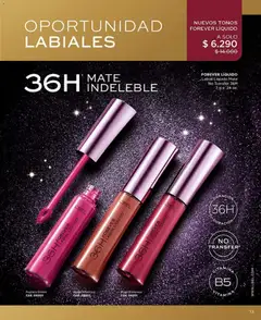 Catálogo L'Bel Campaña 1 válido desde el 01.01.2026 | Página: 13 | Productos: Mate, Labial