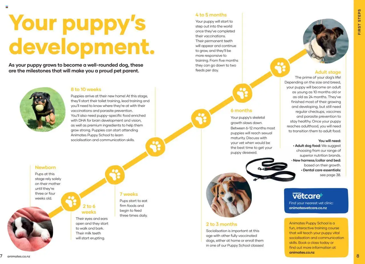 Animates catalogue from 01.01.2024 | Page: 5