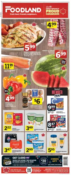 Preview of Foodland flyer - NL from shop Foodland valid from 07.08.2025