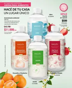 Vista previa Bagués - Catálogo válido desde el 06.04.2026 | Página: 88 | Productos: Frutilla