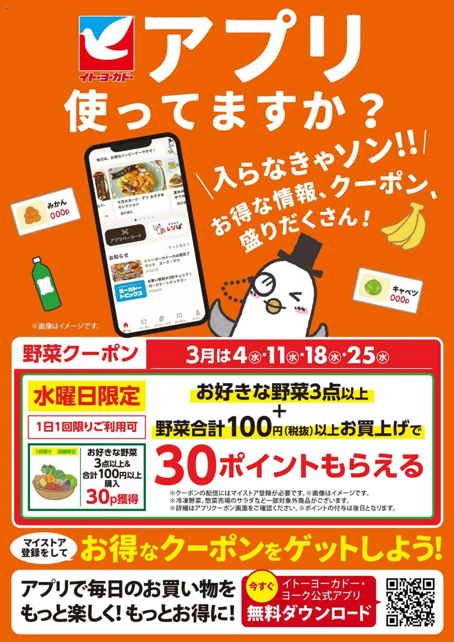 {H1} | ページ: 2 | 製品: キャベツ