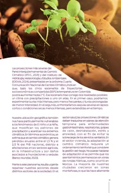 Colsubsidio - Catálogo -  Vista previa de la revista de la tienda Colsubsidio valido desde el 01.10.2025 | Página: 41 | Productos: Banco