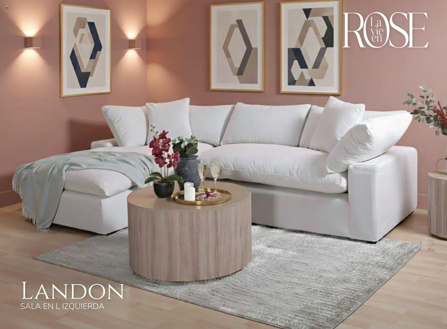 Nuevas ofertas de Muebles Dico válidas en toda la República Mexicana desde el 06.02.2026. ¡Encuentra las mejores ofertas en Muebles Dico catálogo La Vie en Rose 2026 ! | Página: 6