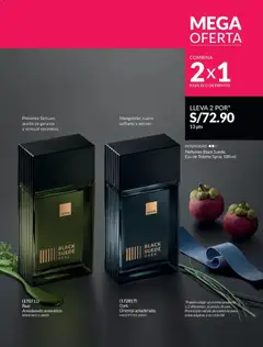 Vista previa de folleto Avon catálogo - Campaña 6 de la Avon válido desde 01.04.2026 | Página: 236 | Productos: Aceite, EAU de Toilette