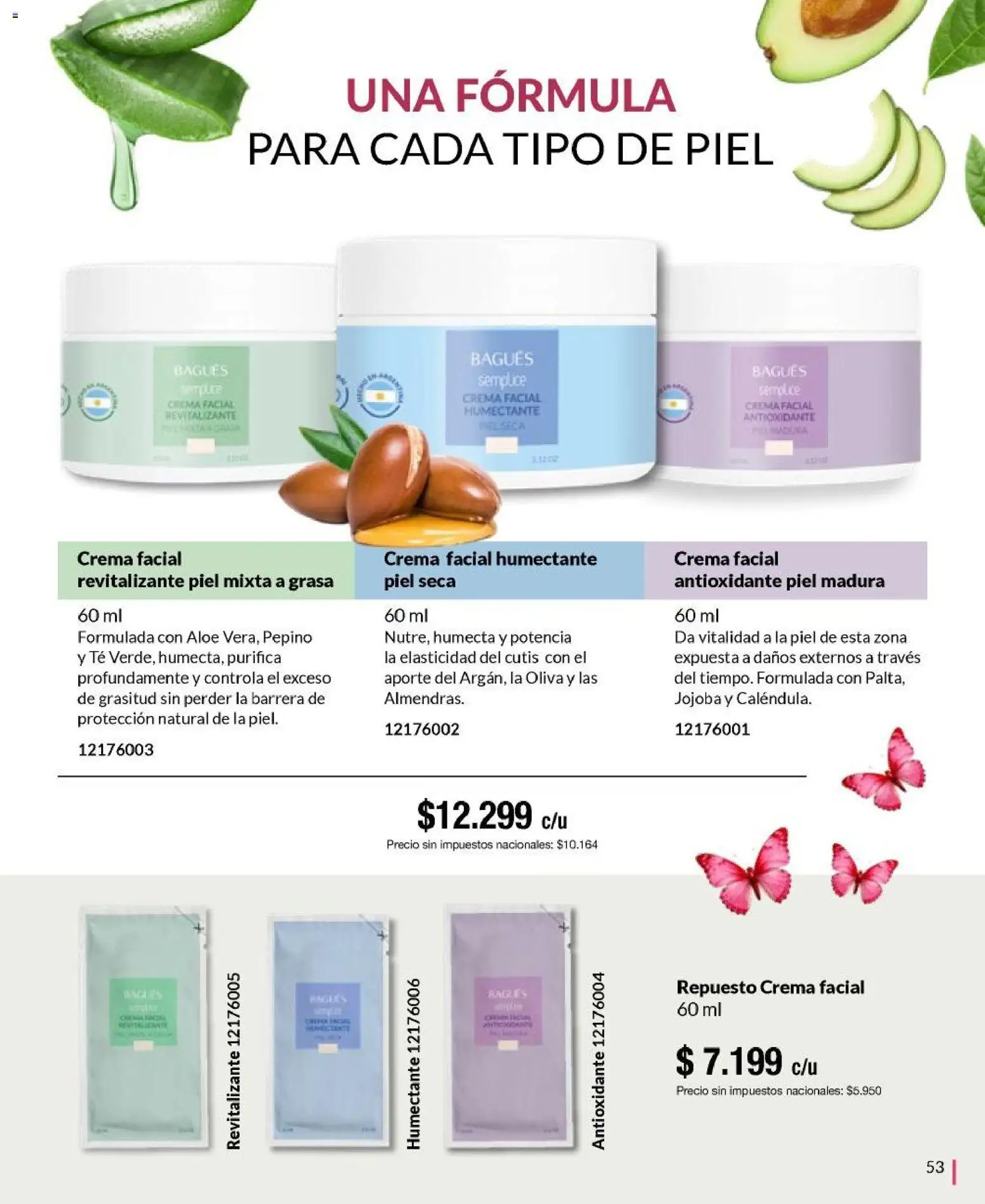 Bagués - Catálogo │ válido desde el 09.02.2026 | Página: 53 | Productos: Oliva, Té, Crema