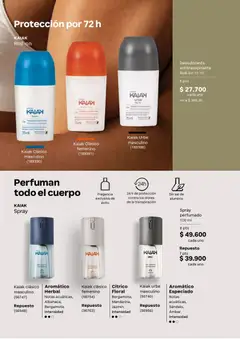 Natura catálogo -  Vista previa de la revista de la tienda Natura valido desde el 01.04.2026 | Página: 137