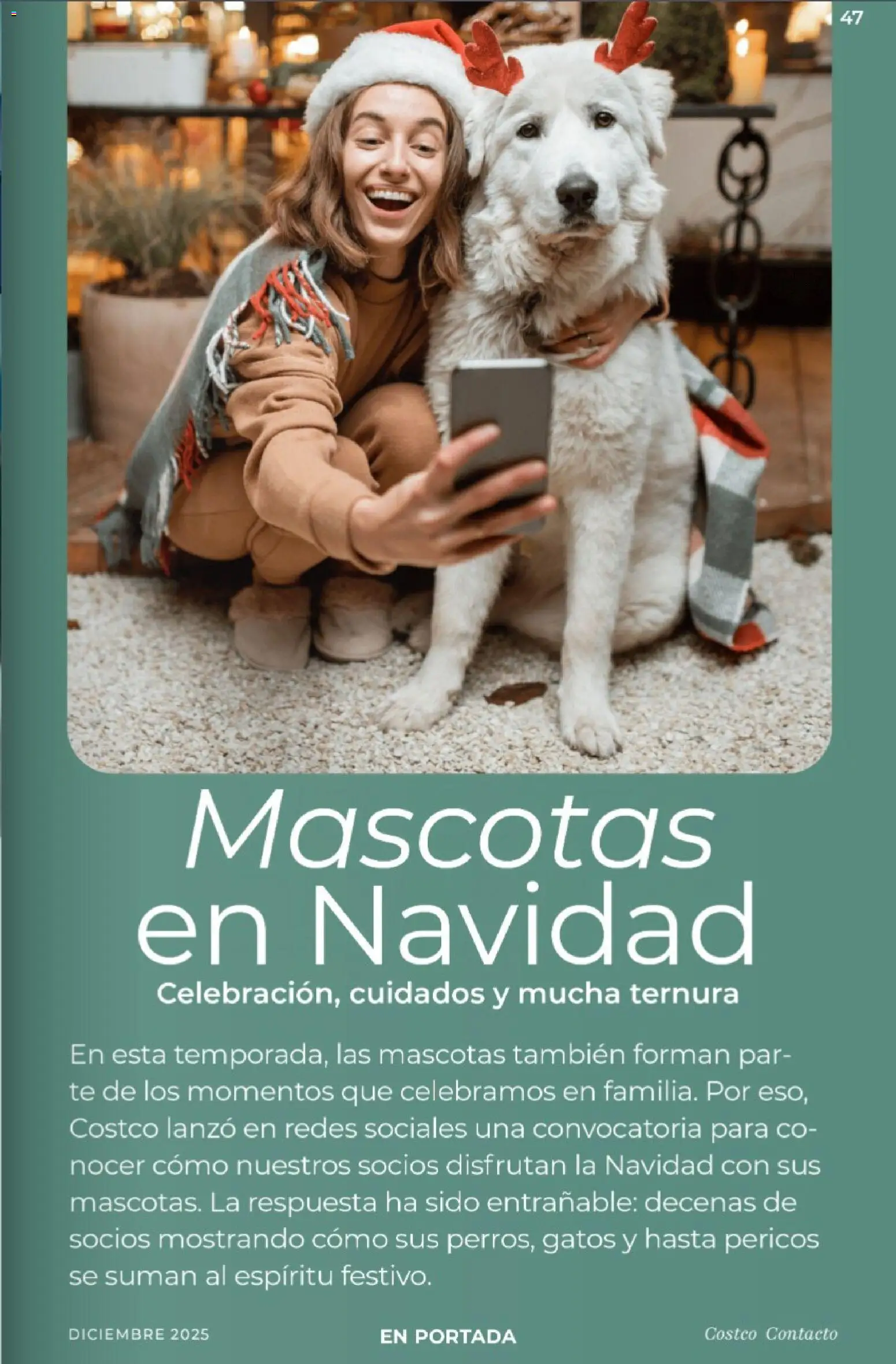 Nuevas ofertas de Costco válidas en toda la República Mexicana desde el 01.12.2025. ¡Encuentra las mejores ofertas en Costco Revista Diciembre! | Página: 47 | Productos: Té