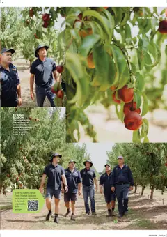 Preview of Woolworths Fresh Ideas Magazine - valid from 14.01.2026 | Page: 25