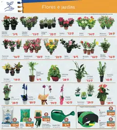 Supermercados Condor - Ofertas da semana  - Pré-Visualização do folheto da loja Supermercados Condor, válido de 05.02.2026 | Página: 28 | Produtos: Mangueira, Flores