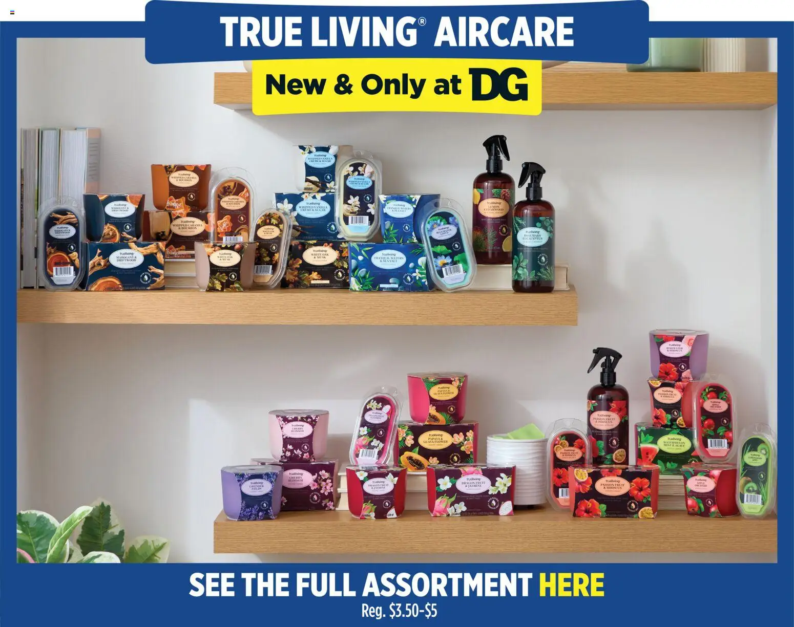 Dollar General Weekly Ad - TX - valid from 15.03.2026 | Page: 9