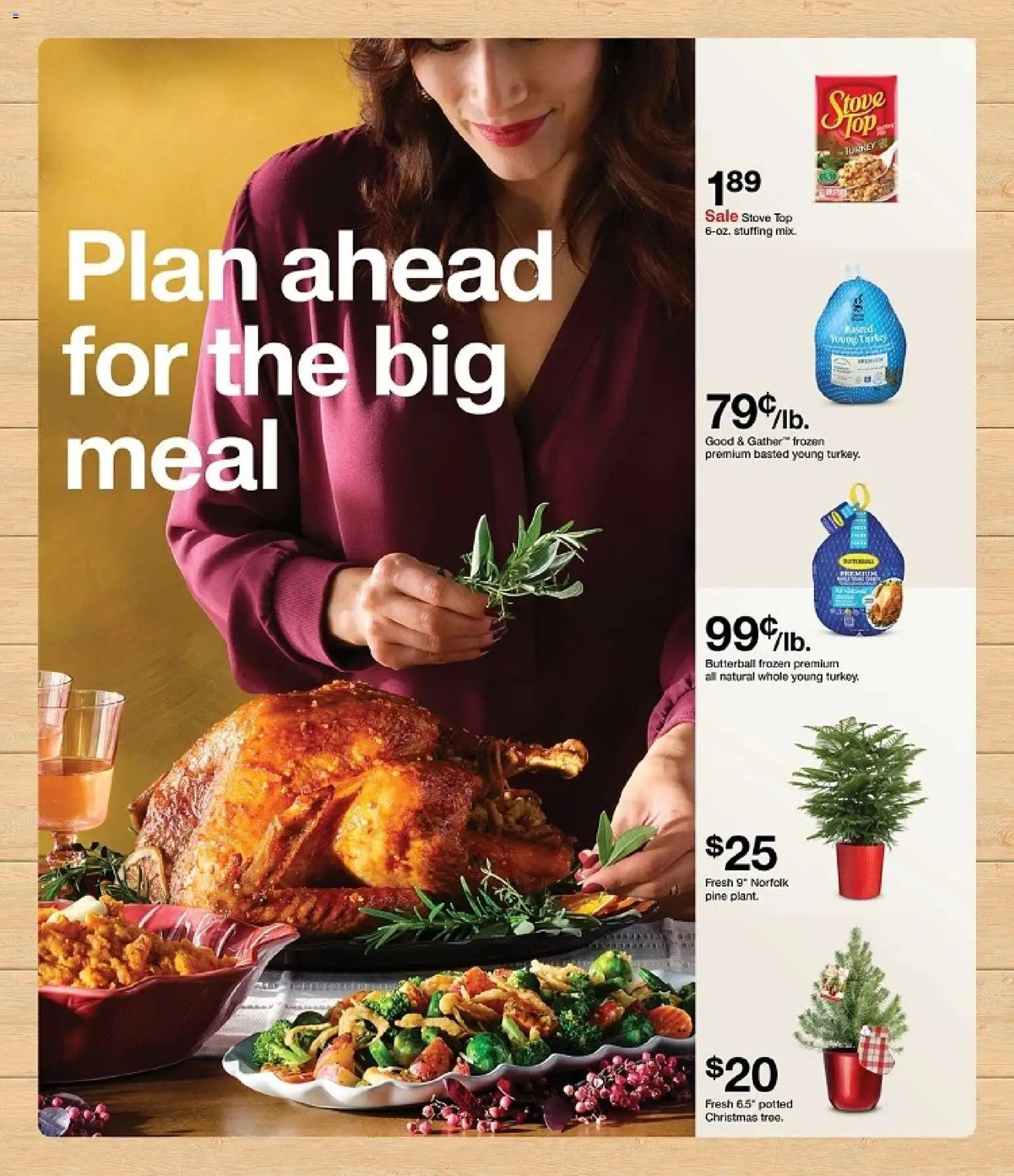 Target Weekly Ad - valid from 09.11.2025 | Page: 27 | Products: Stove